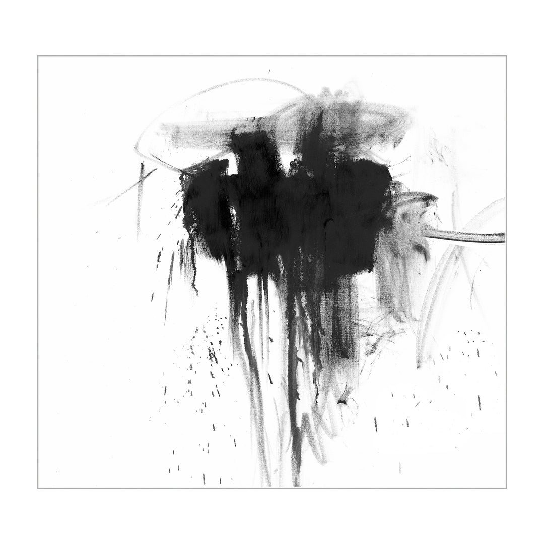 ANATOMY By District Home