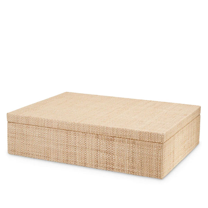 Beige woven storage box on a white background. Decorative Box Cady L by District Home