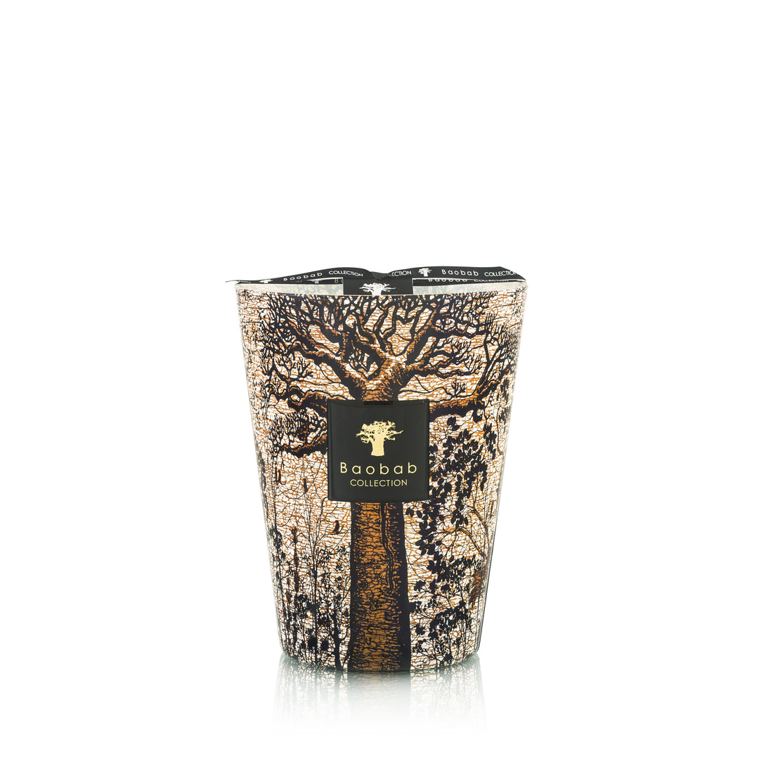 Baobab Scented Candle Morondo 24 Max District Home