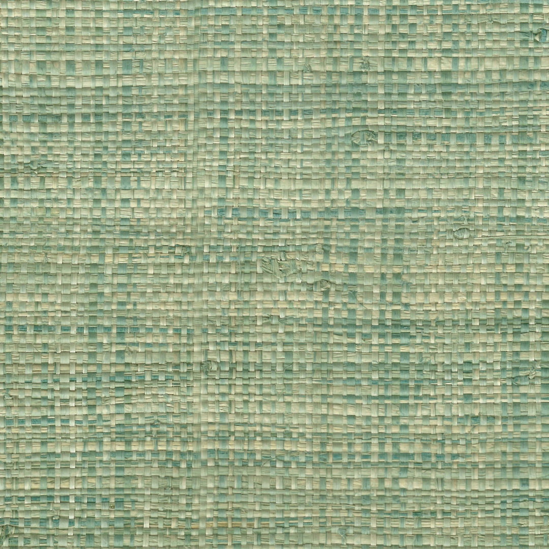 Grasscloth Woven - 2700 64 by District Home