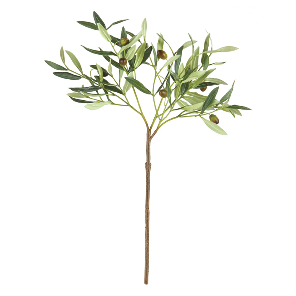 Olive Stem Olea 22 by District Home