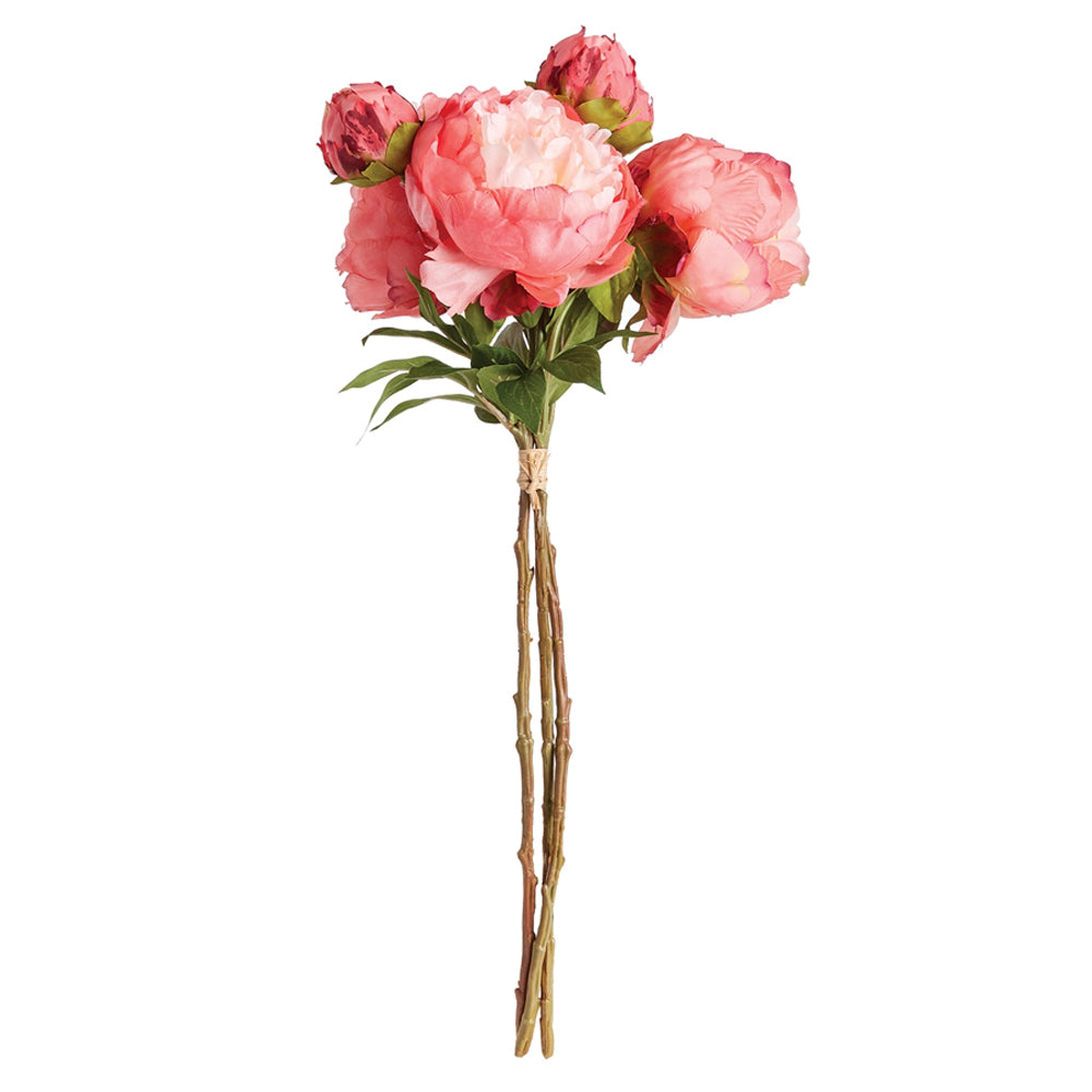 Bundle of Flowers Peony C by District Home