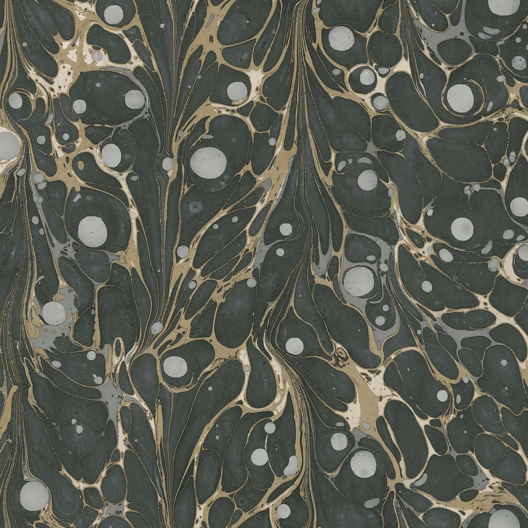 Marbled Endpaper - NV5591 by District Home 