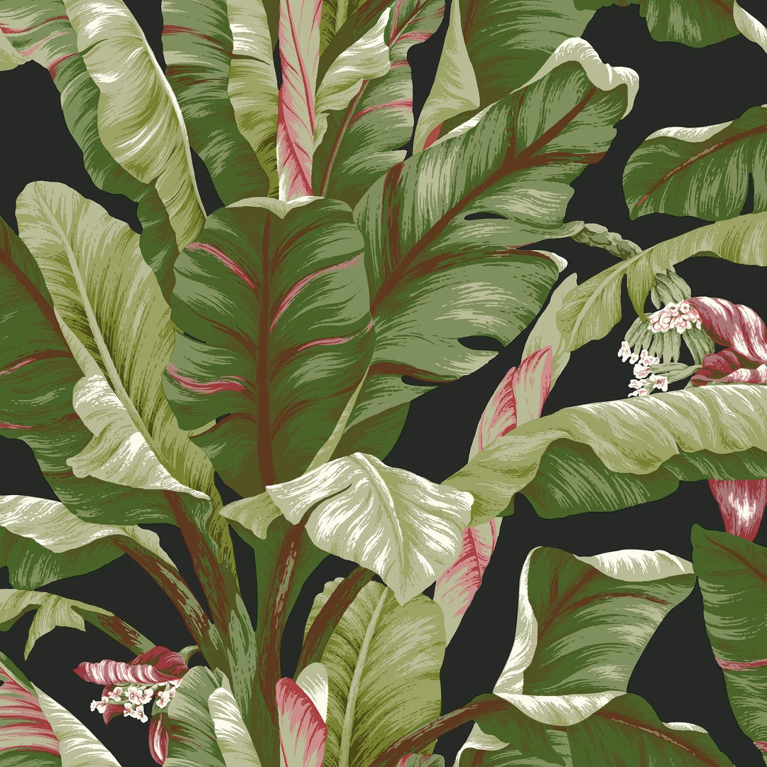 Tropics Banana Leaf - AT7071 by District Home 